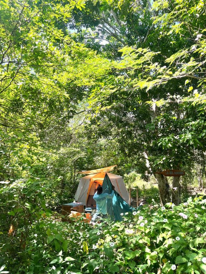 Santa Ana  Cayuco Camping Baru酒店 外观 照片